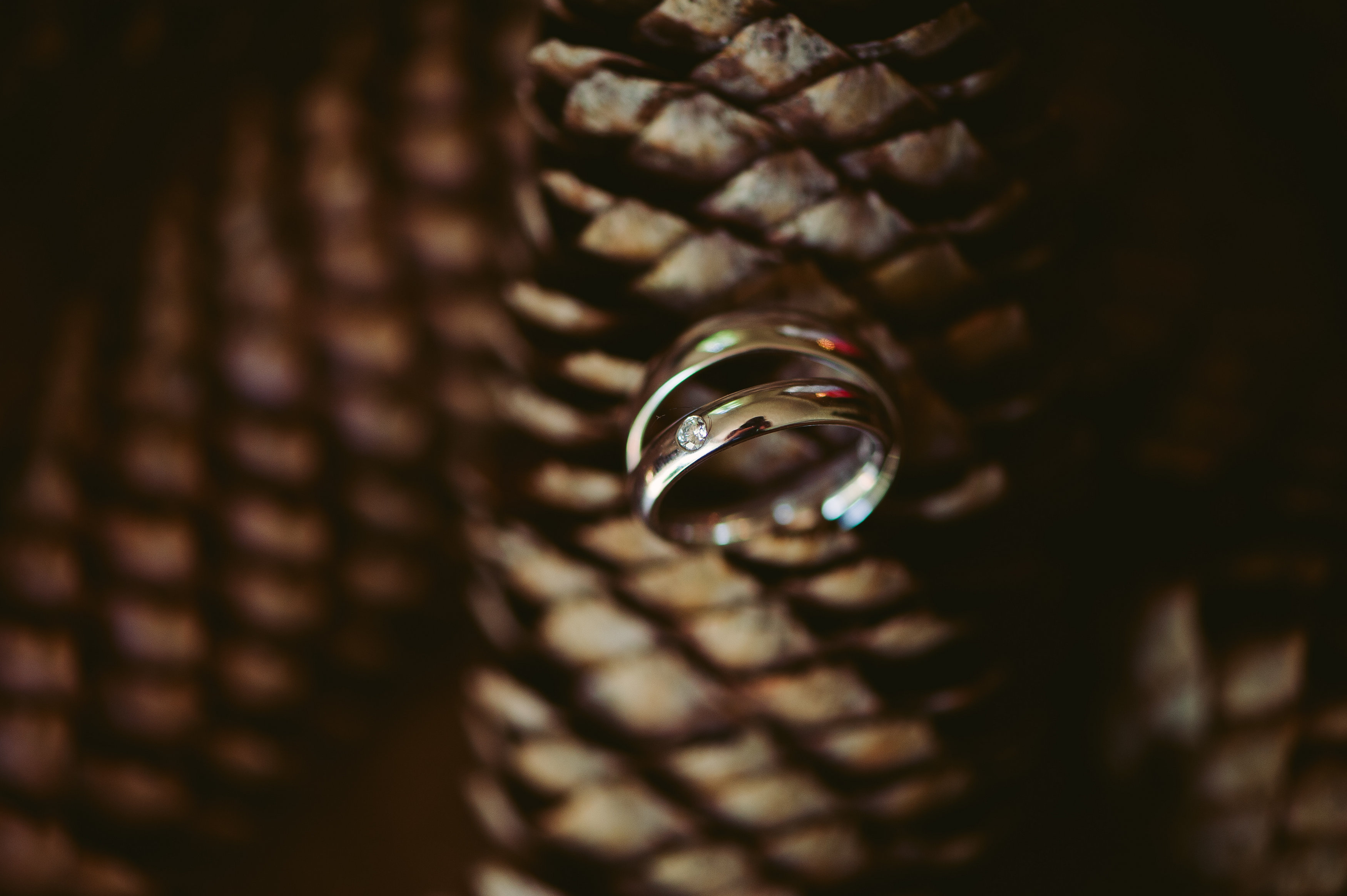 Hochzeitsringe