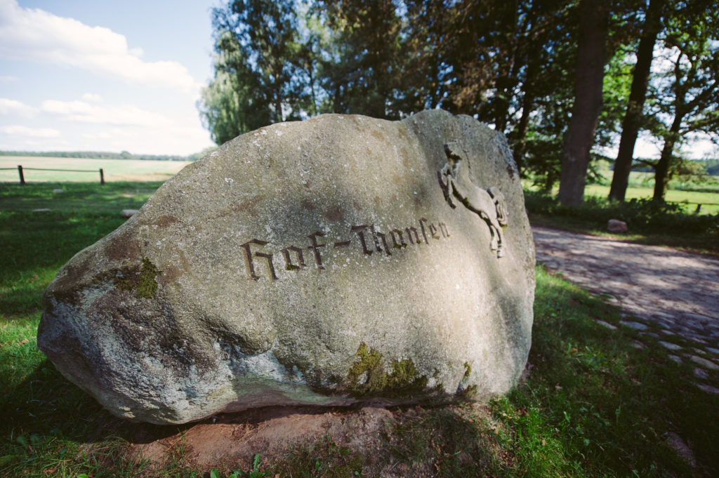 View More: http://anneundbjoern.pass.us/friederikeundadam